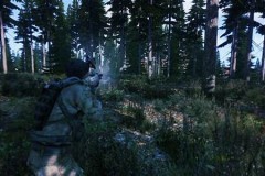 阿玛3是什么游戏(阿尼玛游戏)